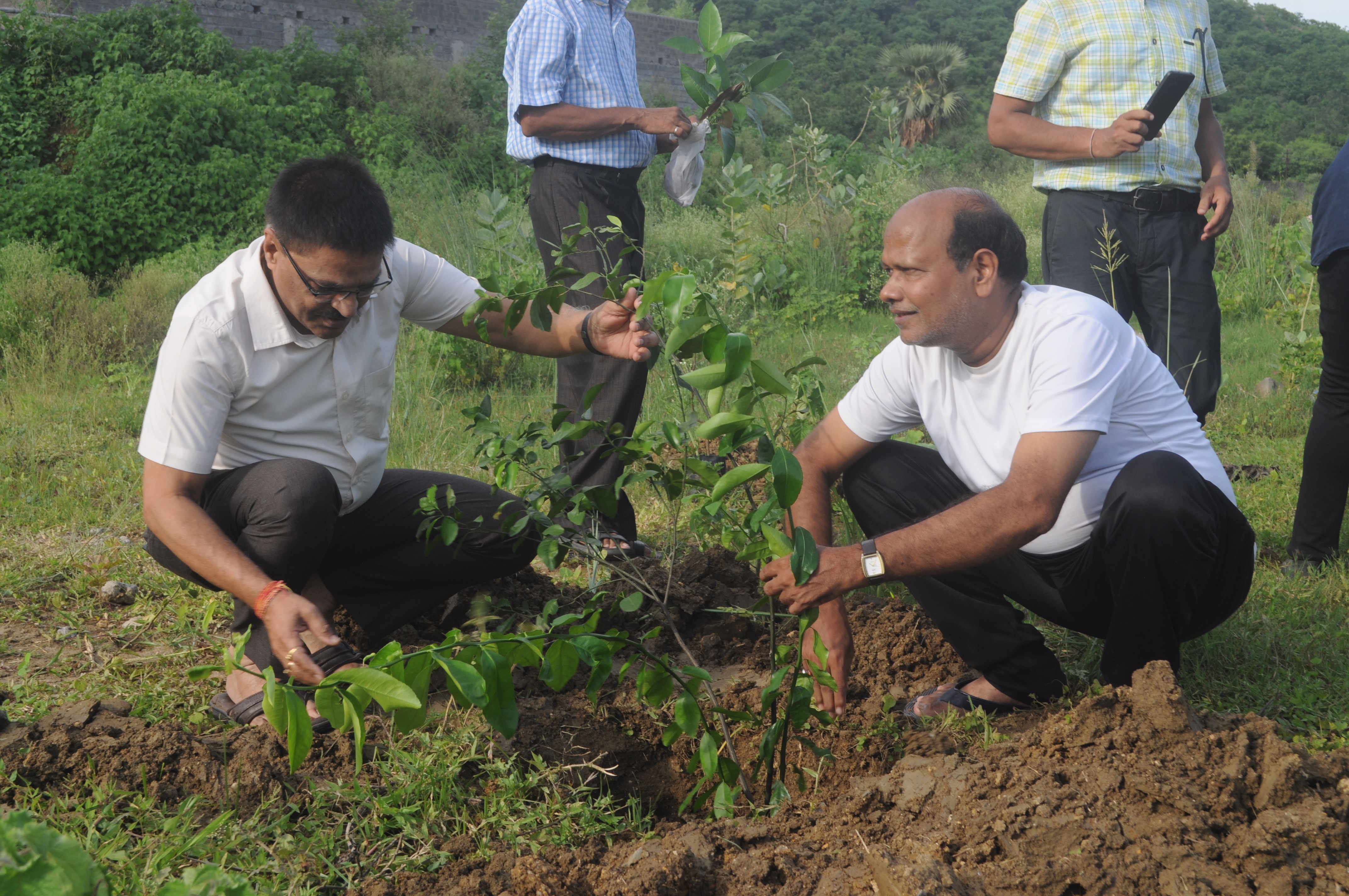 Gallery image undefined