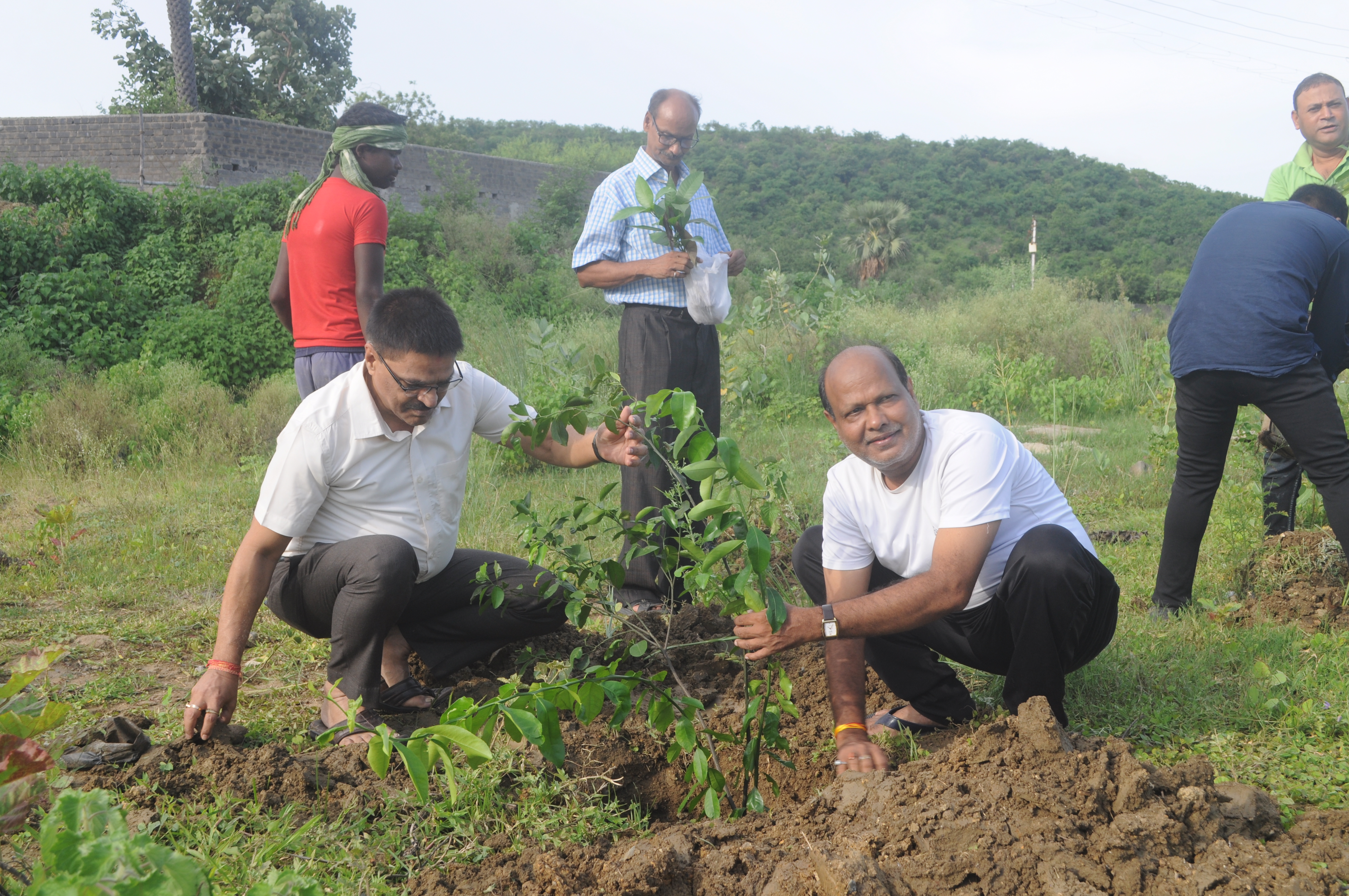 Gallery image undefined